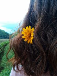 Close-up of yellow flower