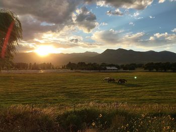 Scenic view of landscape against sky during sunset