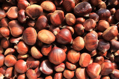 Close-up of hazelnuts