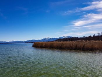 Scenic view of lake against blue sky