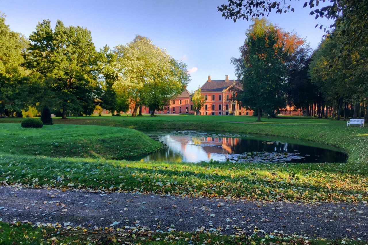 SCENIC VIEW OF PARK AGAINST SKY