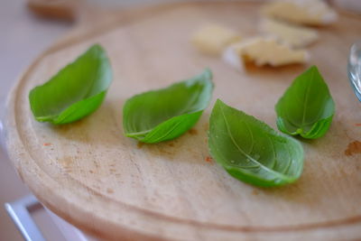 Close-up of green vegetables on table