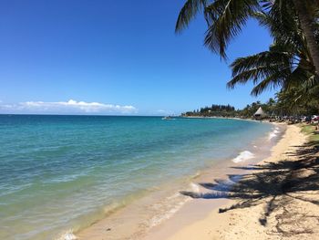 Scenic view of beach against blue sky