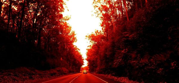 Empty road with trees in background