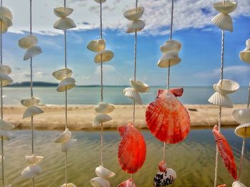 Low angle view of lanterns hanging against sky