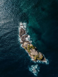 High angle view of rock on sea shore