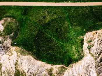 Close-up of moss on rock