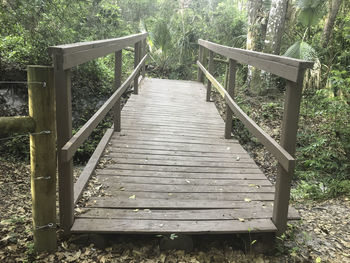 Boardwalk in forest