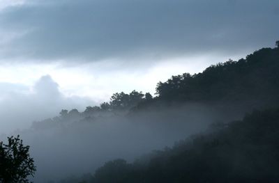 Scenic view of trees and mountains against sky