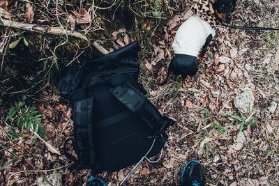 Low section of pet owner with dog and camera bag on field in forest