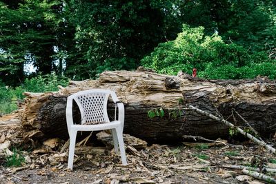 Empty bench in park