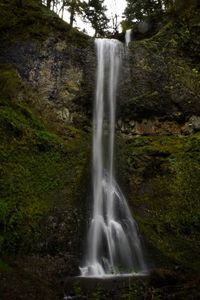 View of waterfall in forest