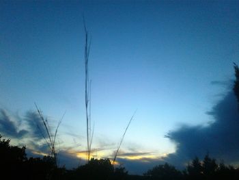 Low angle view of silhouette trees against blue sky