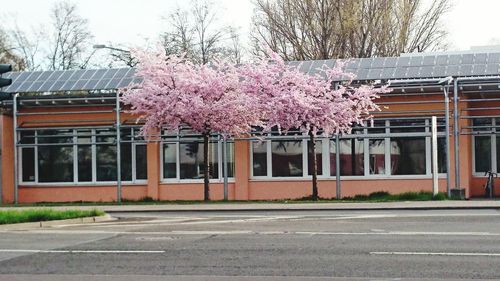 building exterior