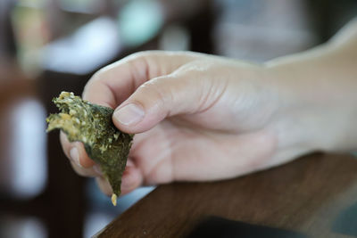 Close-up of hand holding leaf