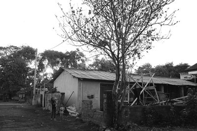 Bare trees and houses against sky