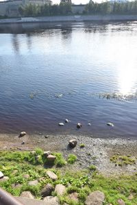 High angle view of birds in lake