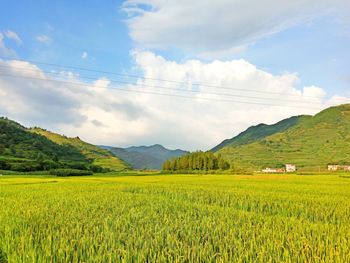 Agricultural field by mountains against cloudy sky