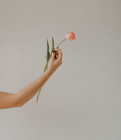 Cropped hand of woman gesturing against white background