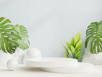 Close-up of potted plant on table against white background