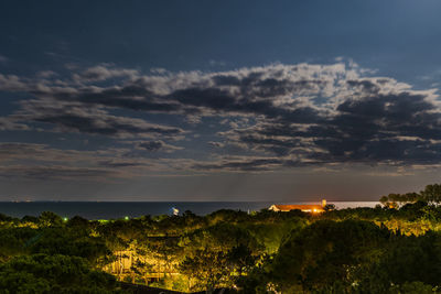 A different look. the pine forest of lignano sabbiadoro from above.