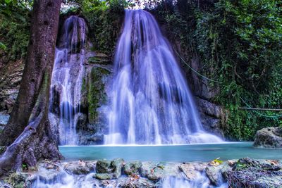 Scenic view of waterfall in forest