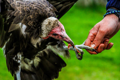 Close-up of man eating food