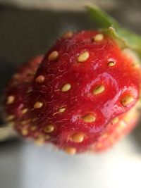 Close-up of strawberry