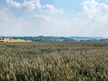 Scenic view of agricultural field against sky