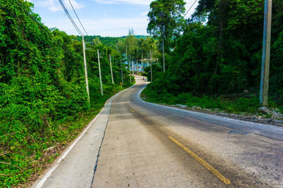 Road amidst trees in city against sky