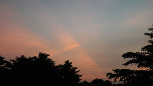 Low angle view of silhouette trees against sky at sunset