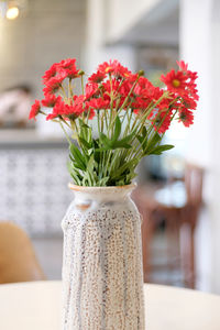 Close-up of red flowering plant in vase