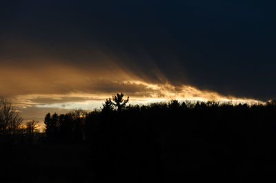Silhouette trees against sky during sunset