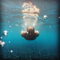 Jellyfish swimming in water