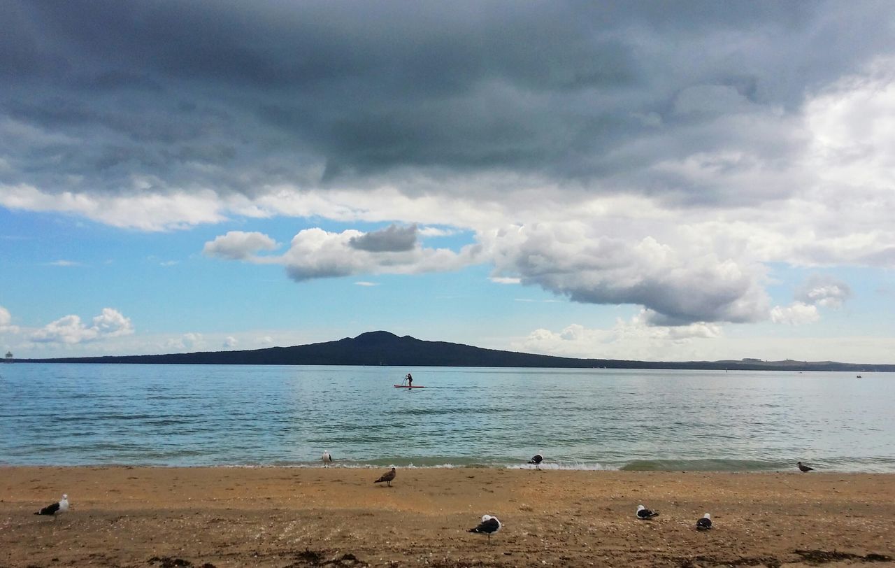 beach, water, sky, sea, cloud - sky, shore, scenics, tranquility, tranquil scene, beauty in nature, nature, sand, animal themes, cloudy, mountain, bird, cloud, idyllic, outdoors, vacations