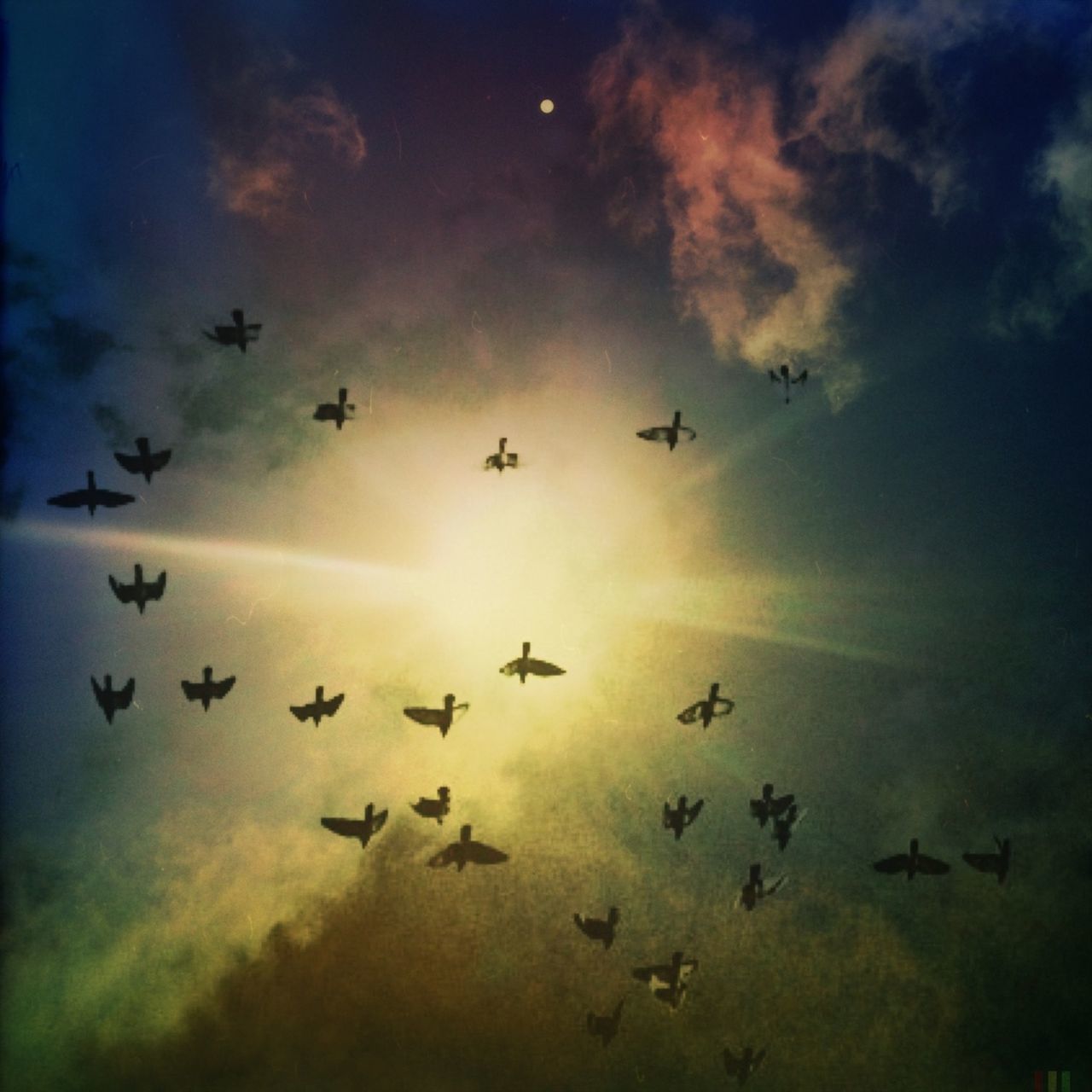 flying, sky, bird, cloud - sky, low angle view, flock of birds, animal themes, silhouette, mid-air, wildlife, cloudy, animals in the wild, nature, beauty in nature, cloud, dusk, scenics, outdoors, weather