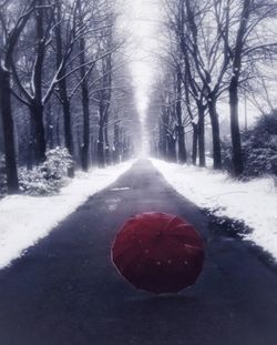 Road amidst bare trees during winter