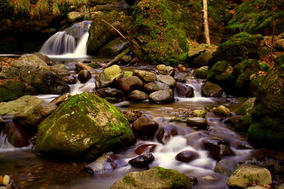 View of waterfall in forest