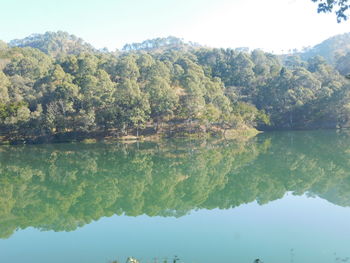 Reflection of trees in lake against clear sky