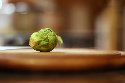 Close-up of brussel sprout  on table