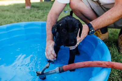 Man giving bath to black labrador puppy in tub