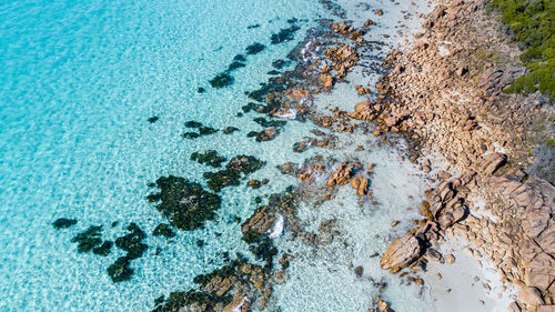 High angle view of crab on beach