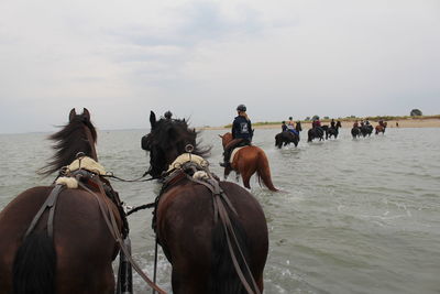 People riding horses in the sea