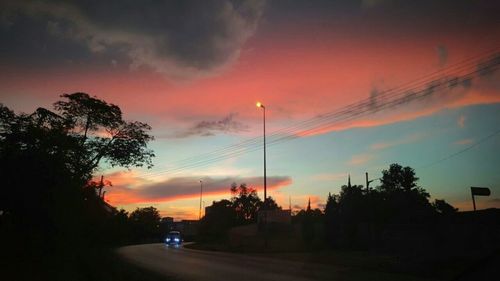 Silhouette of trees at sunset