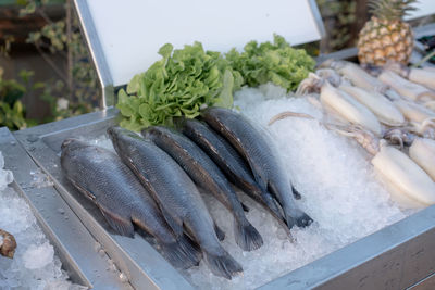 High angle view of fish for sale in market