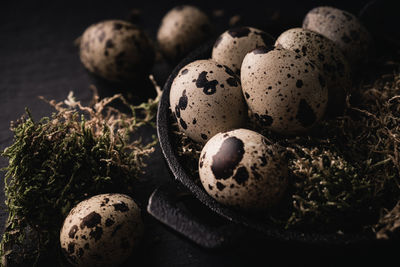 High angle view of quail eggs