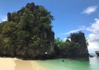 Trees by sea against sky
