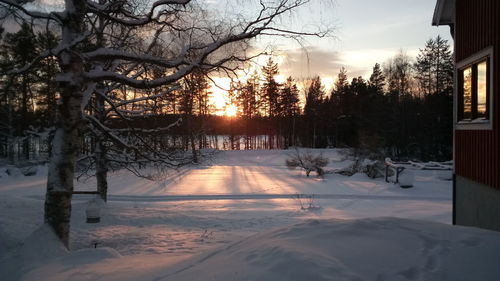 Scenic view of frozen trees against sky during winter