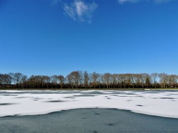 Trees on snow covered landscape against blue sky