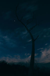 Low angle view of silhouette bare tree against sky at night